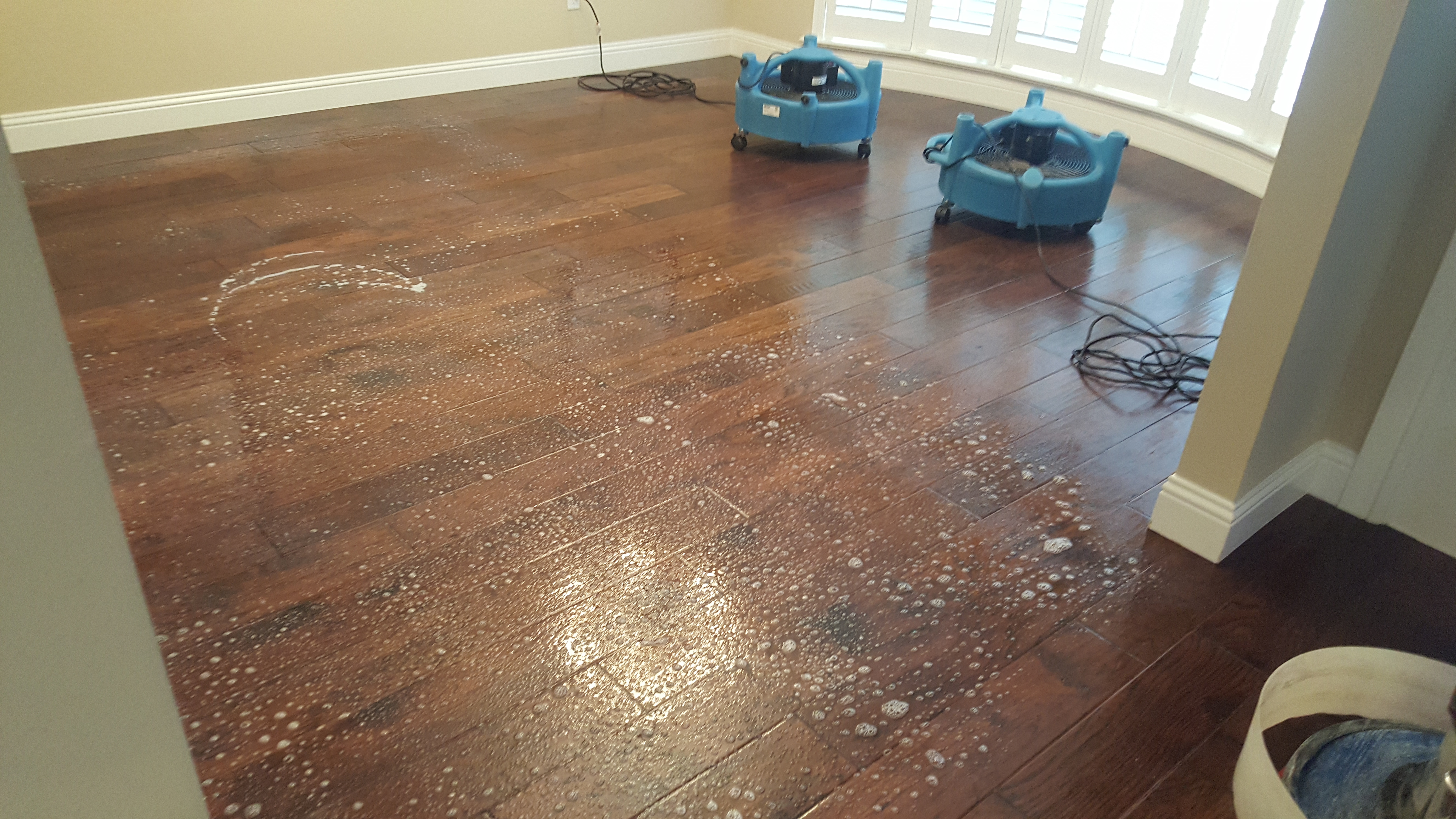 Hardwood Floor Cleaning, Revitalize Your Hardwood Floors Ultra Clean