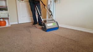 Specifically-carpet-cleaning-addison-tx-scrubbing-carpet