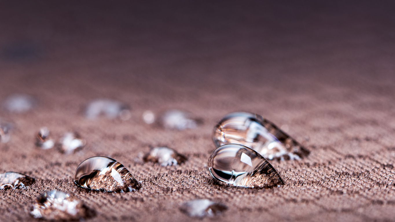 carpet-protector-dallas-tx