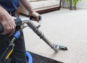 Professional-carpet-cleaning