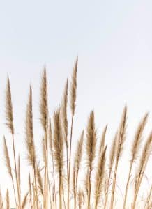 non-profit-04 | Ultra Clean, LLC