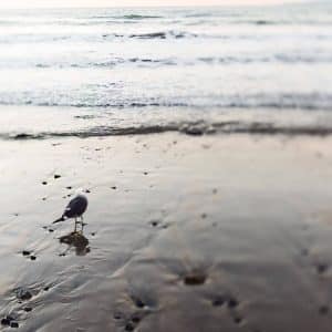 non-profit-09 | Ultra Clean, LLC