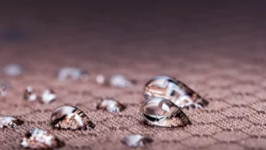 best_carpet_cleaning_in_Dallas_the_Ultra_Clean