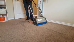 ultra clean carpet service cleaning in dallas