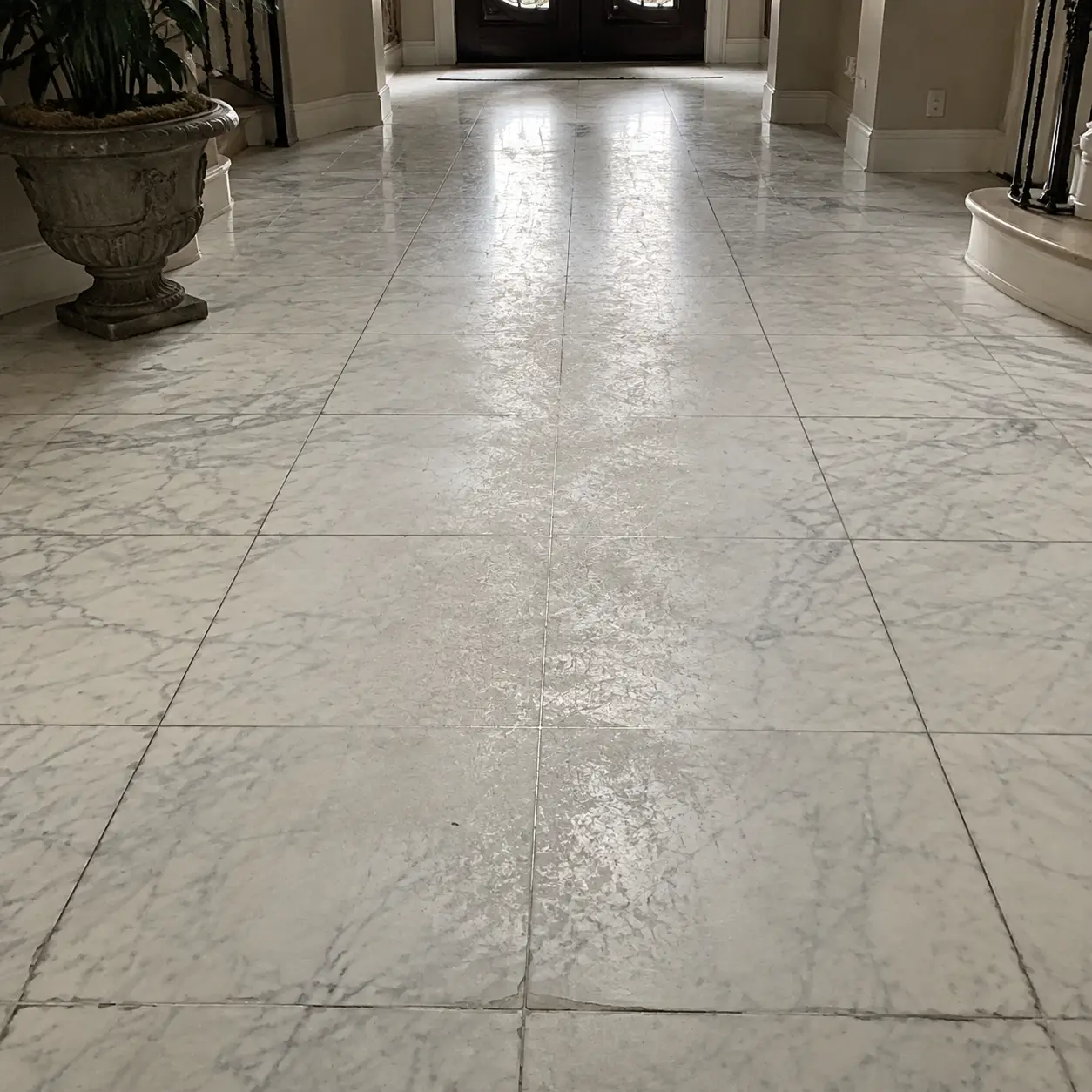 Marble-tiled hallway floor with a glossy central strip, flanked by a large potted plant on the left and a curved railing on the right, leading to double doors.