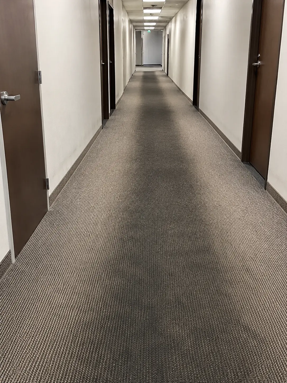 Long empty office hallway with closed wooden doors on both sides and fluorescent ceiling lights at the top.