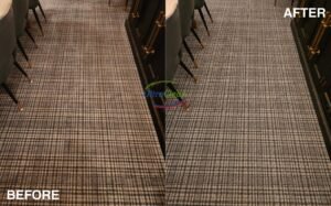 Carpet cleaning before and after in Plano — Ultra Clean | Ultra Clean Before and after carpet cleaning in a Plano home — Ultra Clean hot water extraction removes pet dander and dust mites