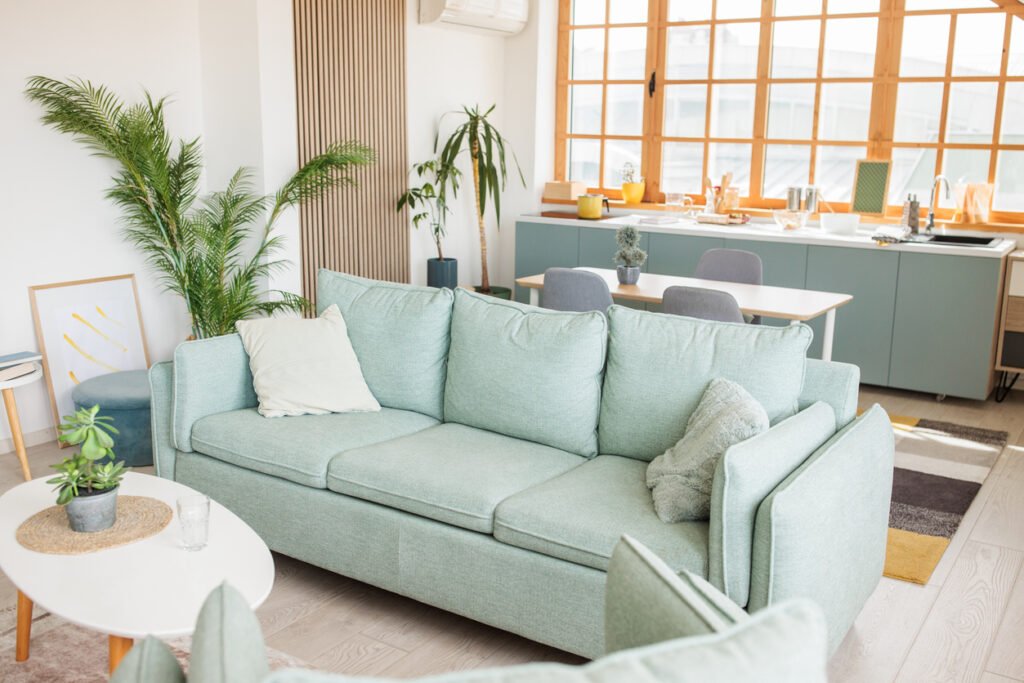Professional upholstery cleaning of a sofa in a Dallas, TX home by Ultra Clean