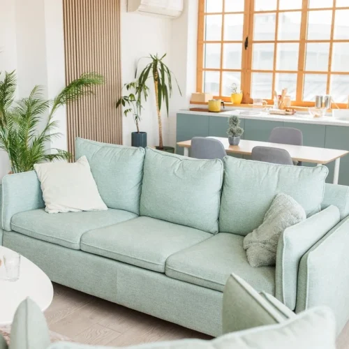 ultra_clean_the_professional_choice_in_Dallas